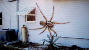 Giant-Spider
